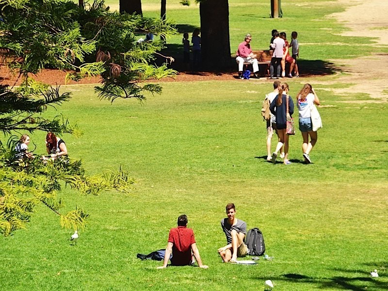 56 Henry Street, Fremantle WA 6160