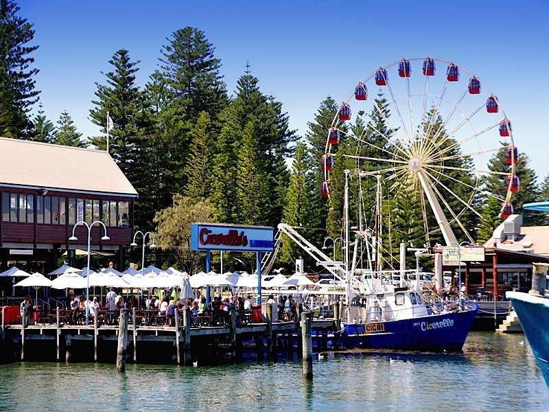 56 Henry Street, Fremantle WA 6160