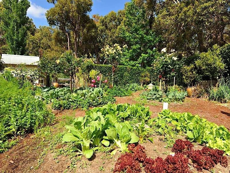 99 Moffett Road, Carmel WA 6076