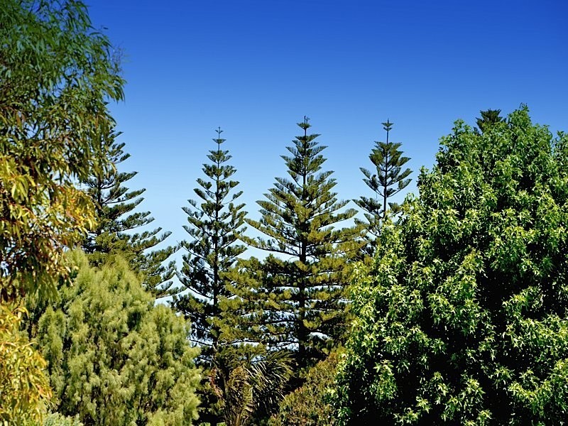 28 Kathleen Street, Cottesloe WA 6011