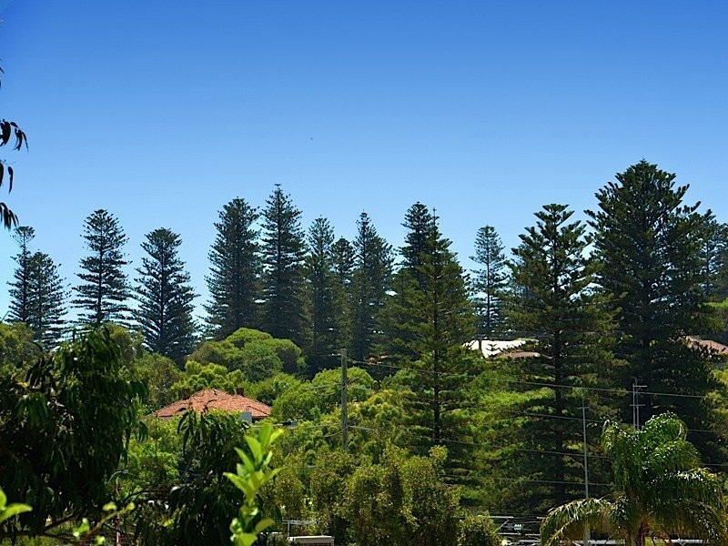 4 Irvine Street, Peppermint Grove WA 6011