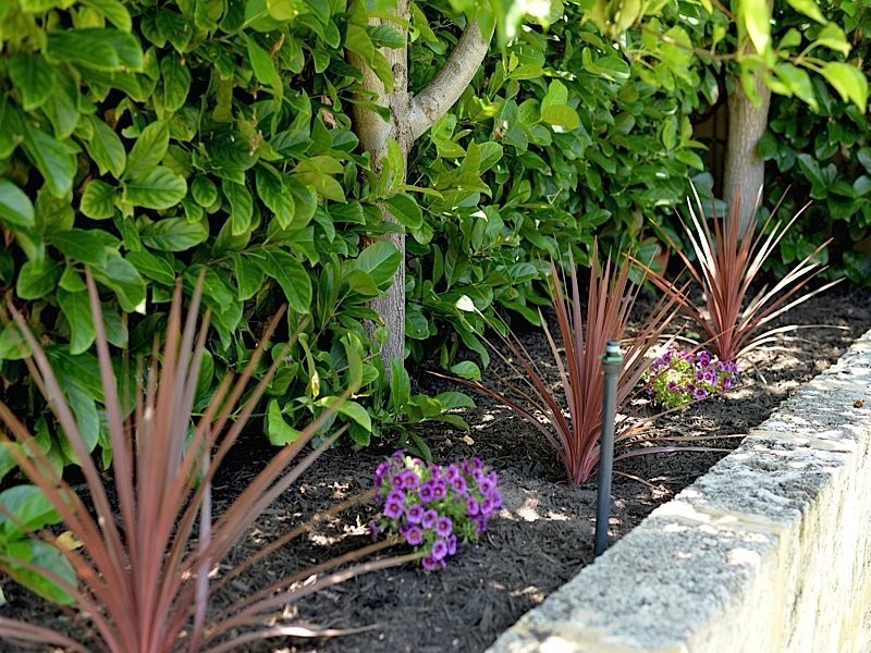 27 Brighton Street, Cottesloe WA 6011