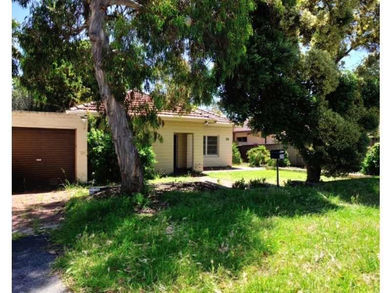 30 Bryant Street, Mosman Park WA 6012