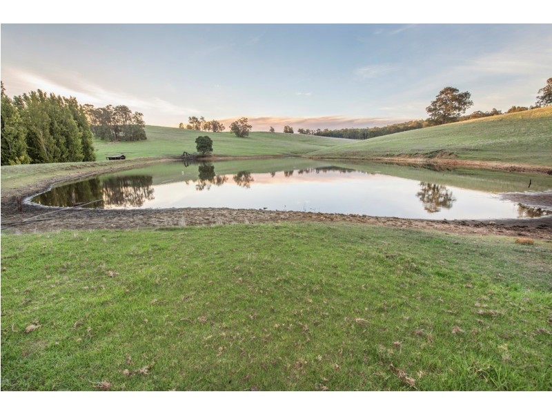 179 King Spring Road, Thomson Brook WA 6239