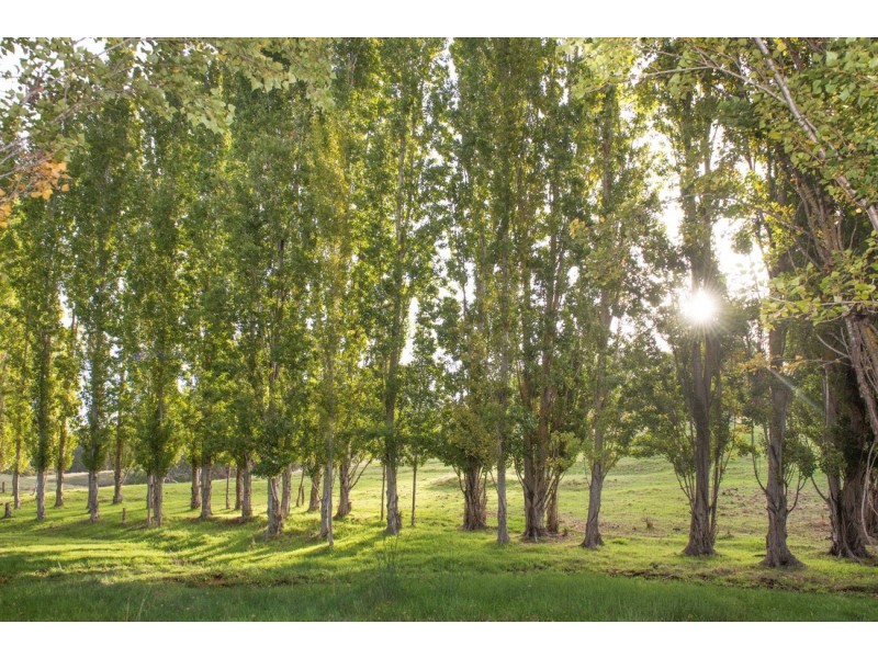 179 King Spring Road, Thomson Brook WA 6239