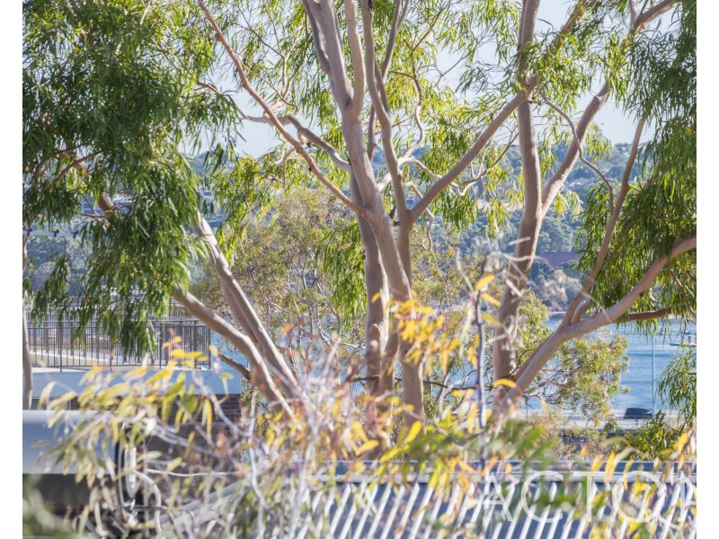 2/50 Burt Street, Fremantle WA 6160