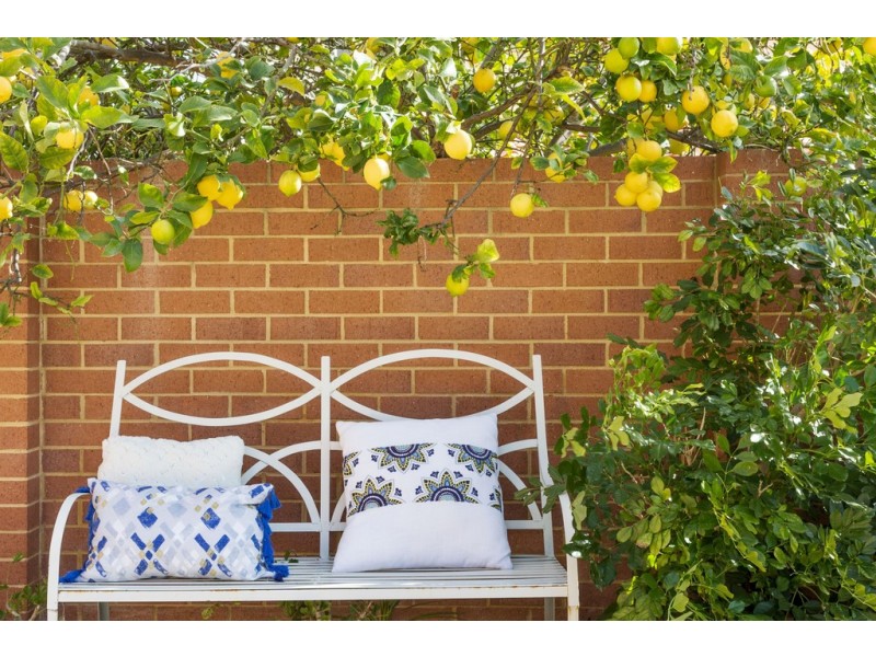 3 Charlotte View, Coogee WA 6166