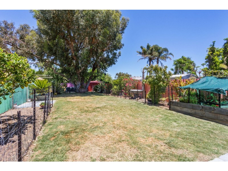 11B Tolley Court, Hamilton Hill WA 6163