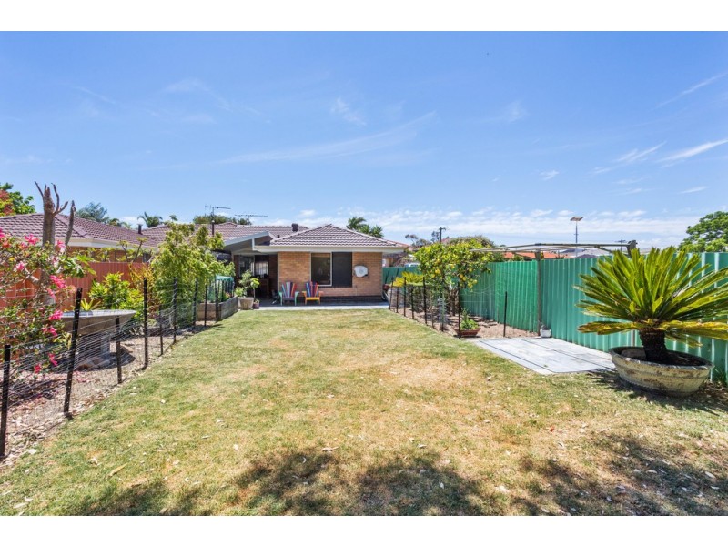 11B Tolley Court, Hamilton Hill WA 6163