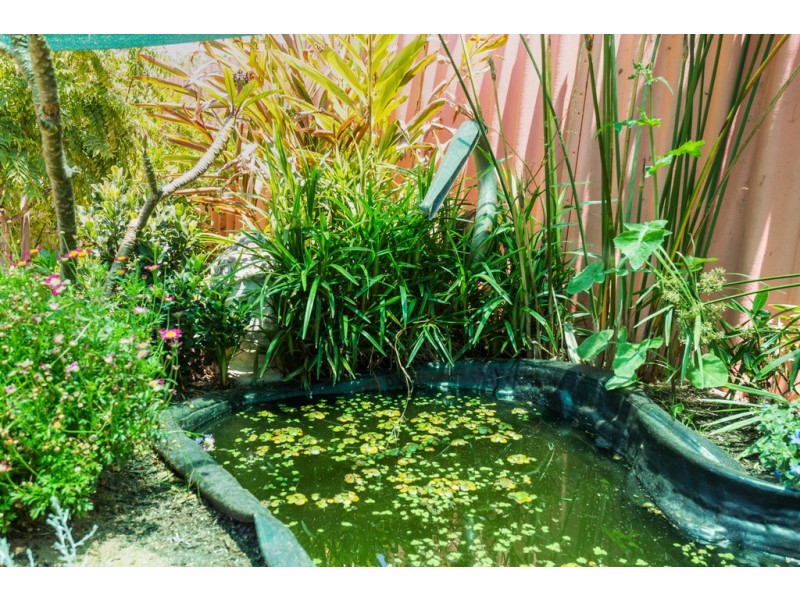 11B Tolley Court, Hamilton Hill WA 6163