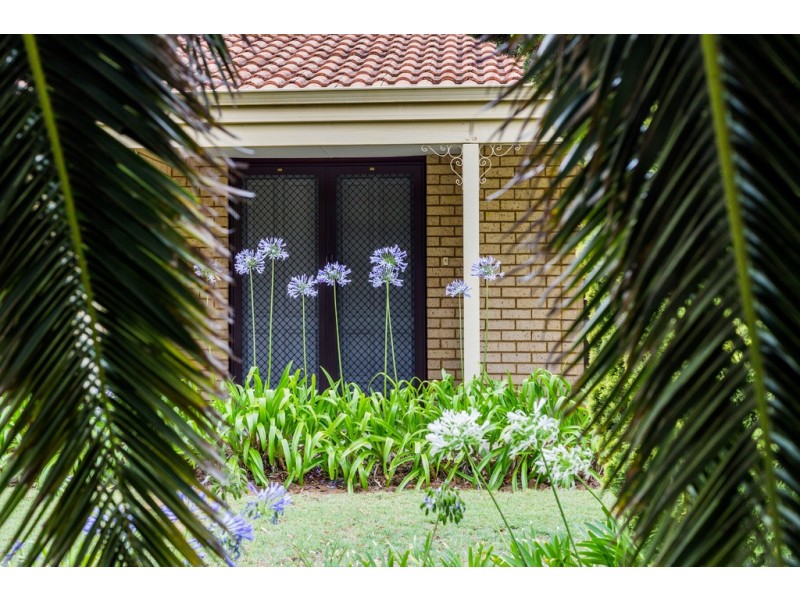 22 Turfan Way, Munster WA 6166