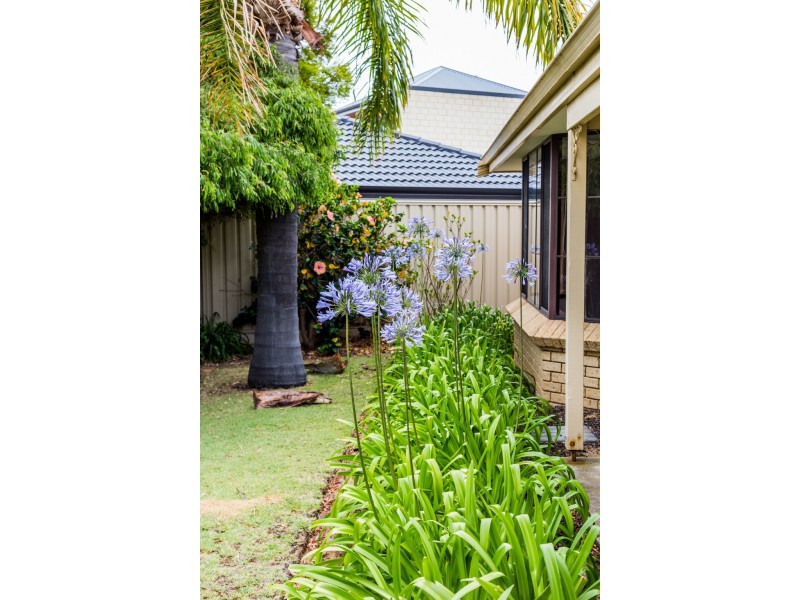 22 Turfan Way, Munster WA 6166