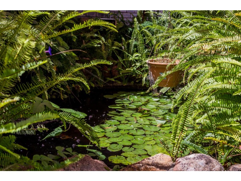 12 Bunyan Close, Spearwood WA 6163