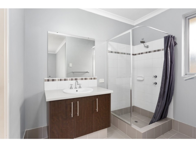 19 Norwood Avenue, Baldivis WA 6171