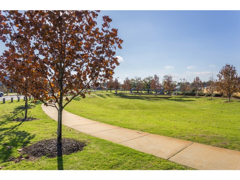 19 Norwood Avenue, Baldivis WA 6171