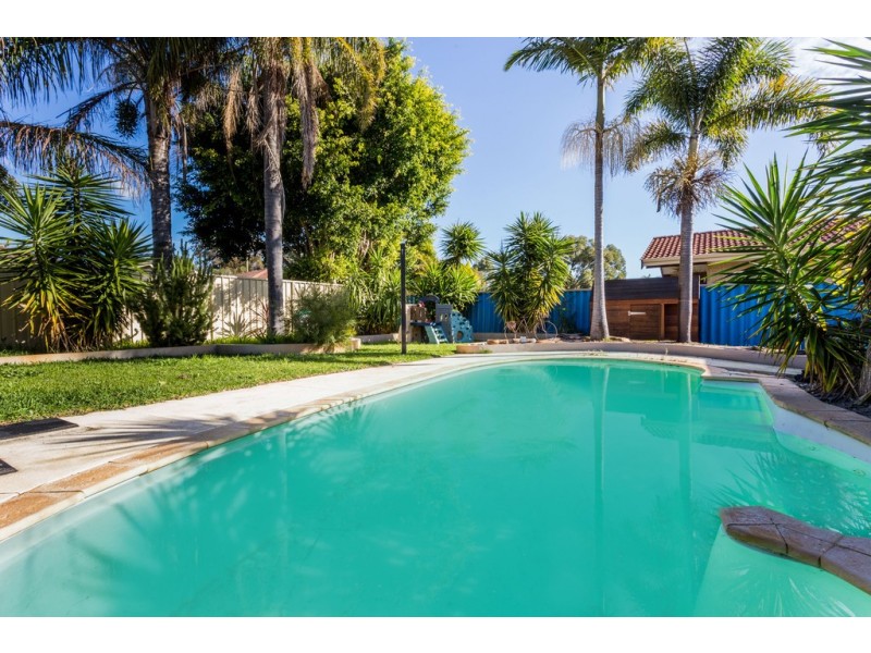 9 Grebe Gardens, Yangebup WA 6164