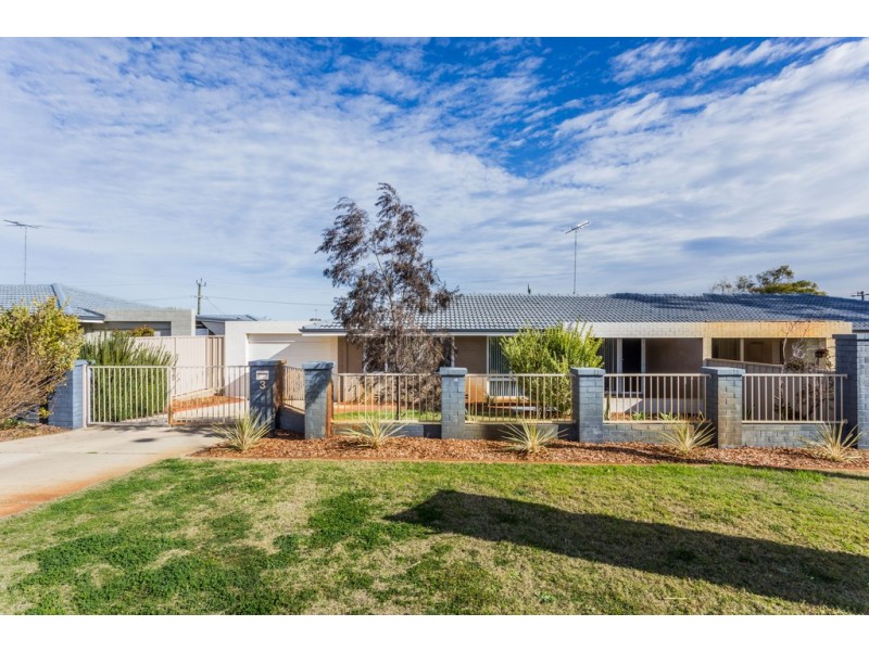 3 Harfleur Place, Hamilton Hill WA 6163