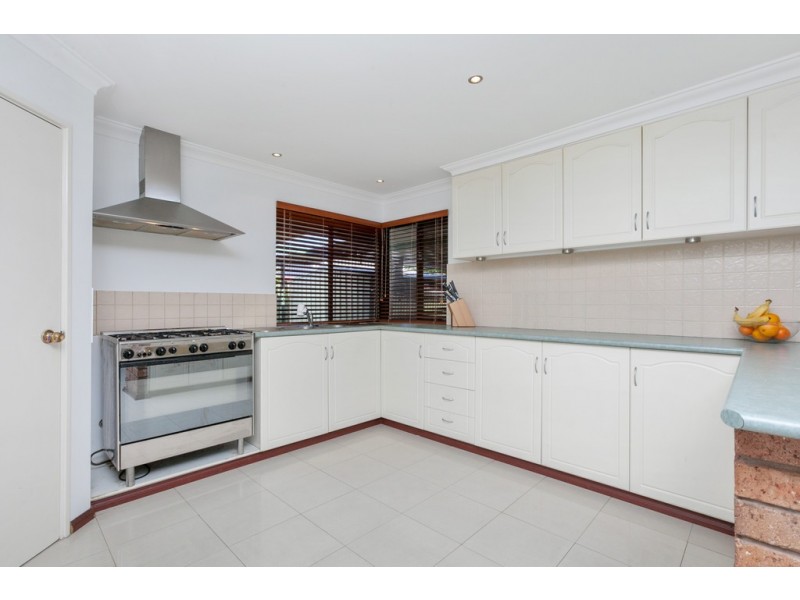 61 Grassbird Loop, Yangebup WA 6164