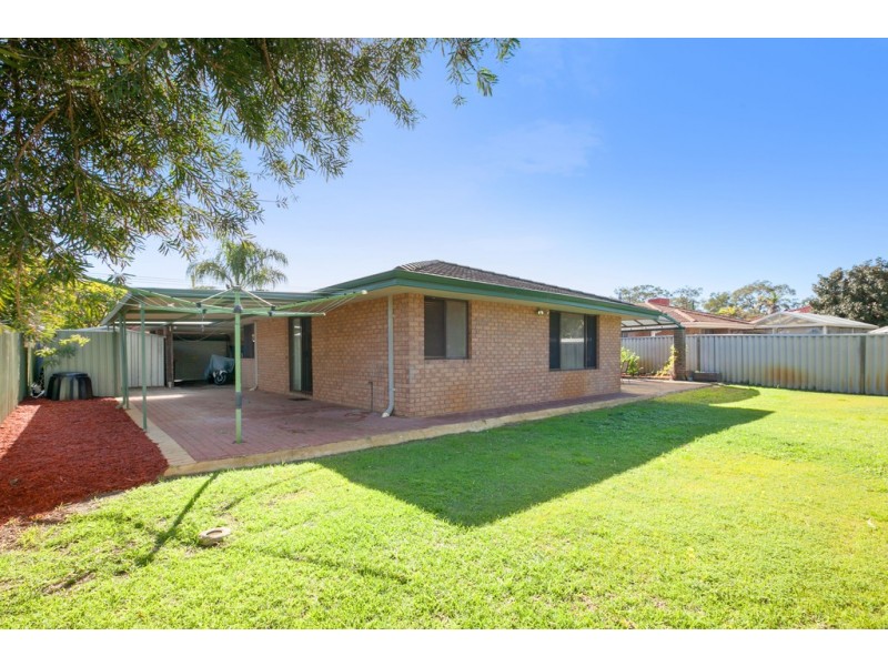 61 Grassbird Loop, Yangebup WA 6164