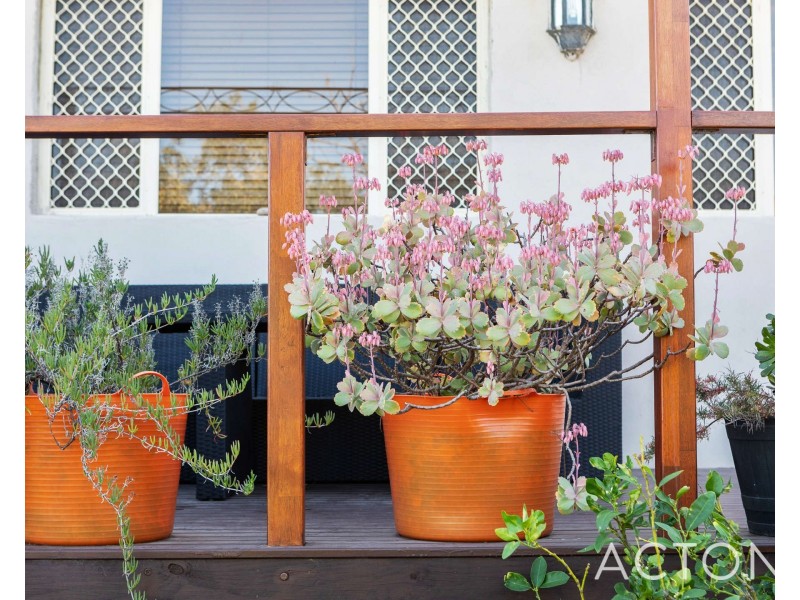 11 Longson Street, Hamilton Hill WA 6163