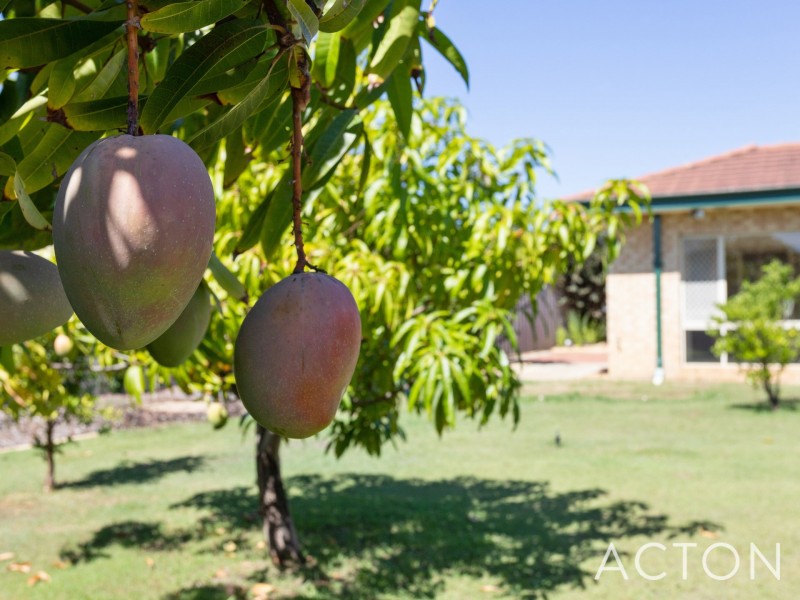 13 Ploughshare Place, South Lake WA 6164