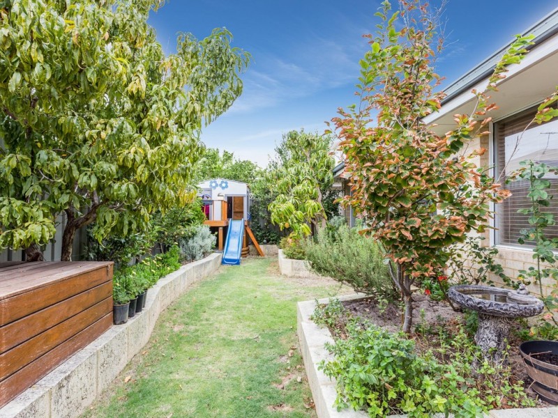 7 Princeton Circuit, Aubin Grove WA 6164