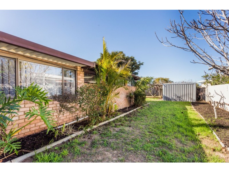 6 Cedar Court, Spearwood WA 6163