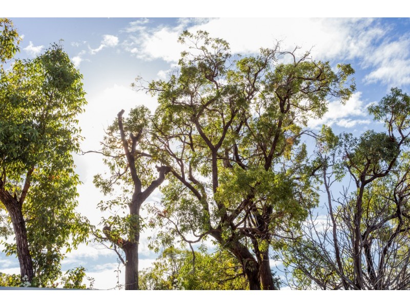 136A Phoenix Road, Hamilton Hill WA 6163