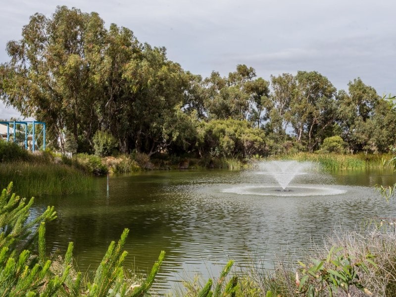 82 Entrance Road, Spearwood WA 6163