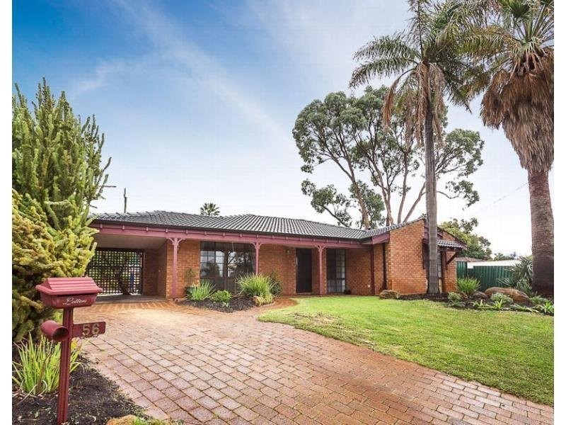 56 Sandpiper Loop, Yangebup WA 6164