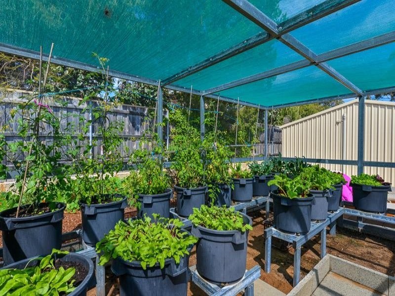 9 Jean Street, Hamilton Hill WA 6163