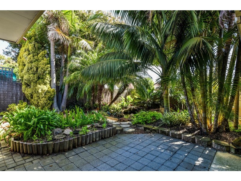18 Bracken Way, Bibra Lake WA 6163