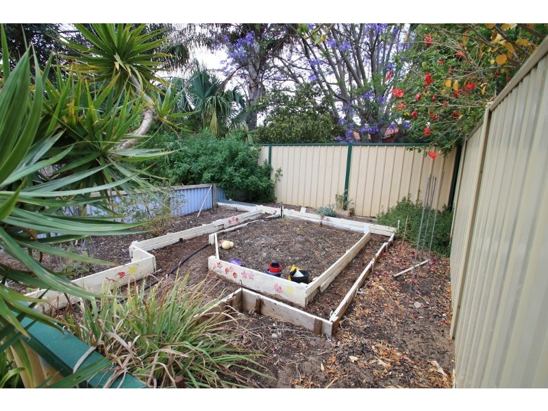 22 Shallow Street, Spearwood WA 6163