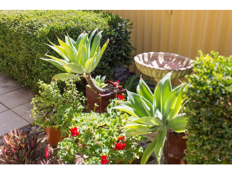 10 Ellis Road, Kardinya WA 6163