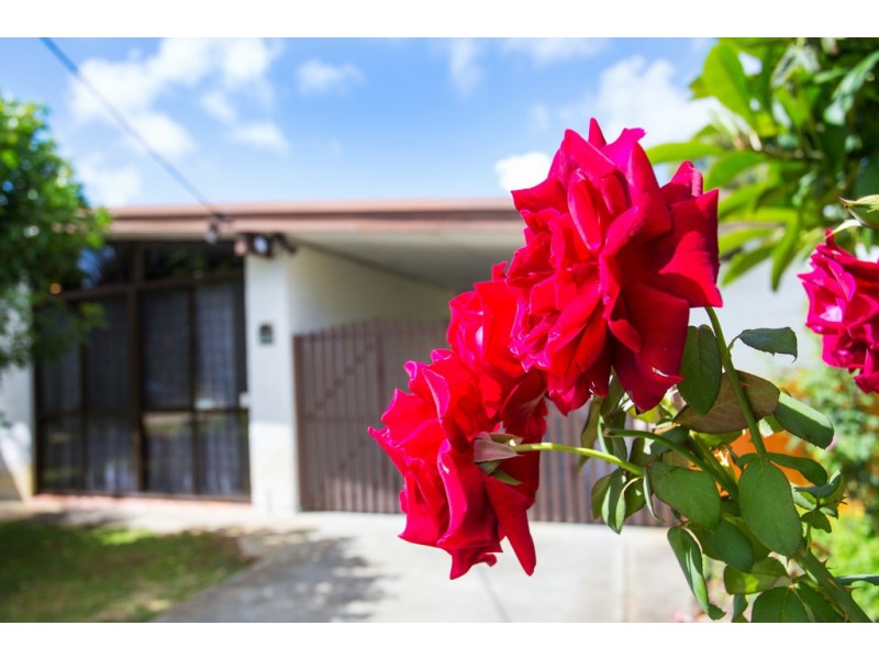 56 Gilbertson Road, Kardinya WA 6163