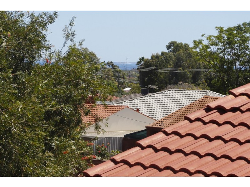 4 Fluellen Way, Hamilton Hill WA 6163