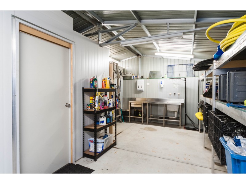 35 Angus Avenue, Spearwood WA 6163