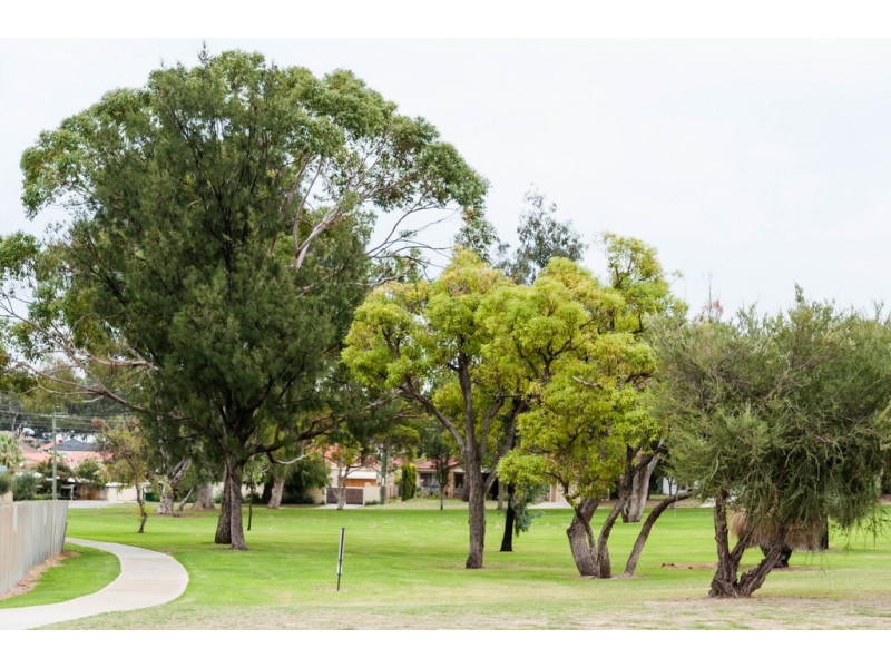 35 Angus Avenue, Spearwood WA 6163