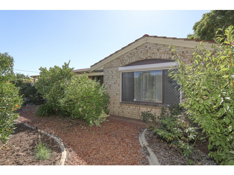 321 Yangebup Road, Yangebup WA 6164