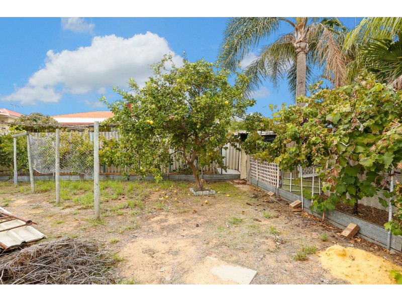 7 Salway Place, Spearwood WA 6163