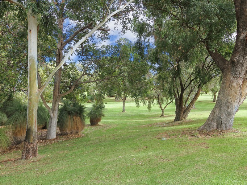 2 Twain Close, Munster WA 6166