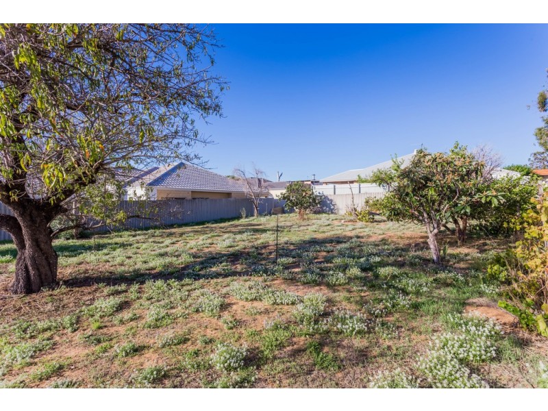16 Packham Road, Hamilton Hill WA 6163
