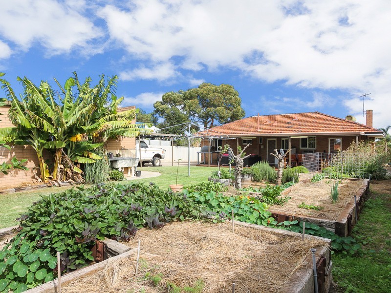 6 Aberle Street, Hamilton Hill WA 6163