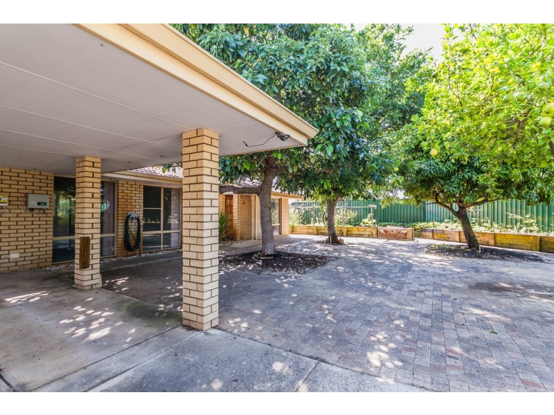 119 Meller Road, Bibra Lake WA 6163