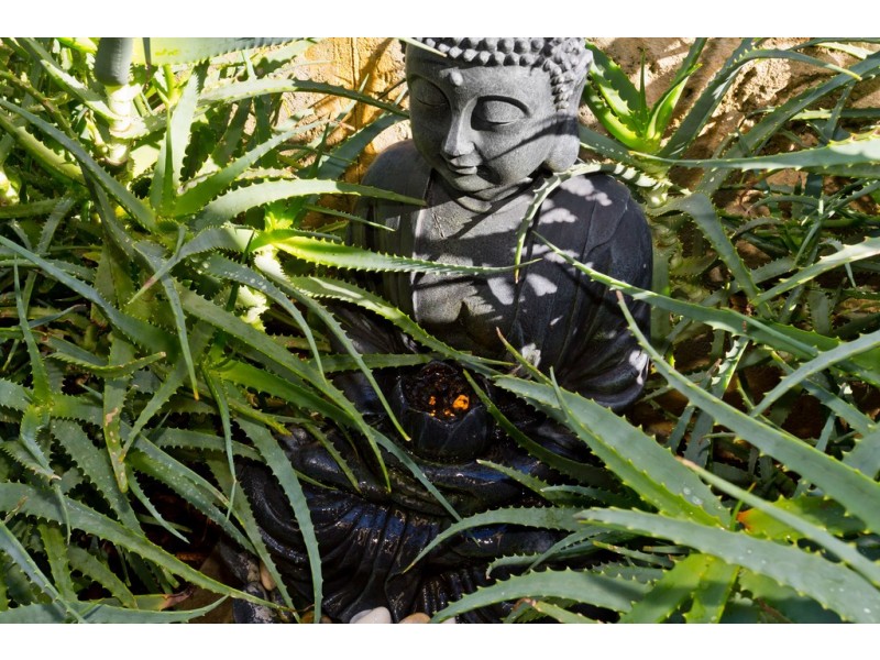 21 Bottrill Street, Hamilton Hill WA 6163