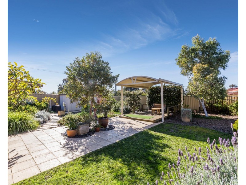 59 Petterson Avenue, Kardinya WA 6163