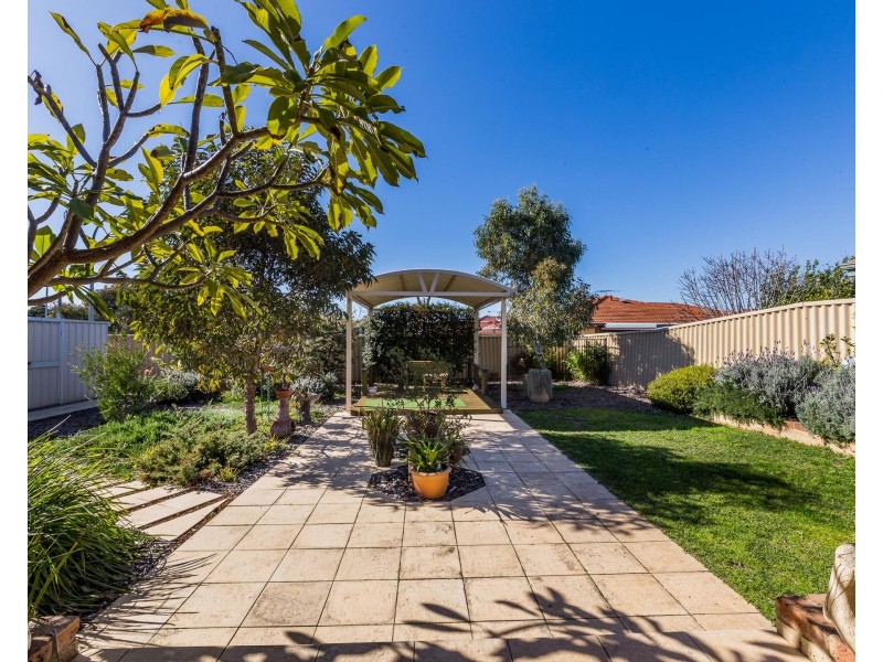 59 Petterson Avenue, Kardinya WA 6163