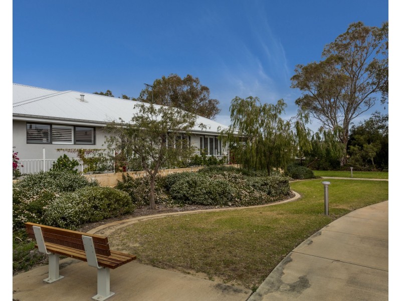 16 Pecorino Lane, Spearwood WA 6163