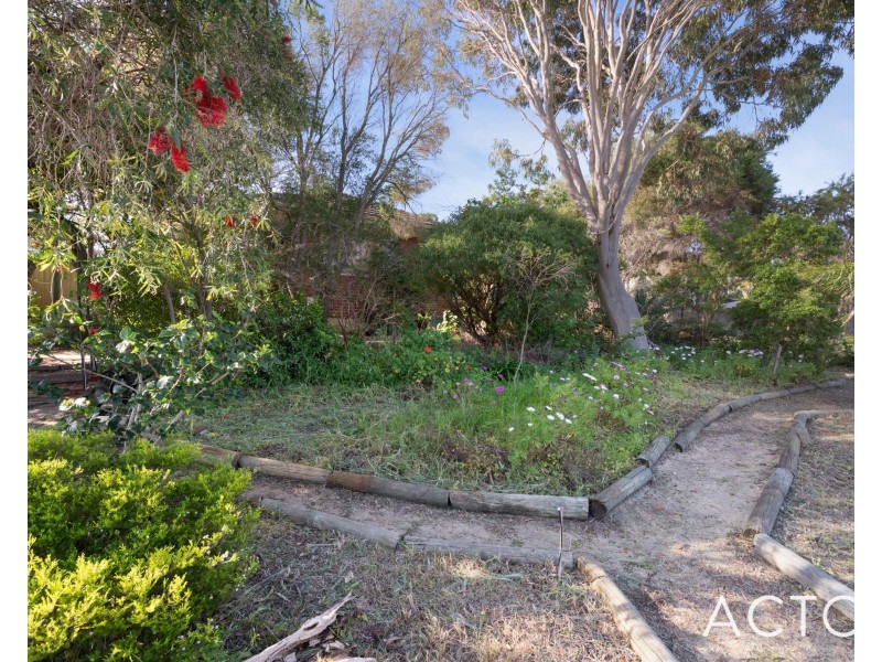 29 Burridge Way, Hamilton Hill WA 6163