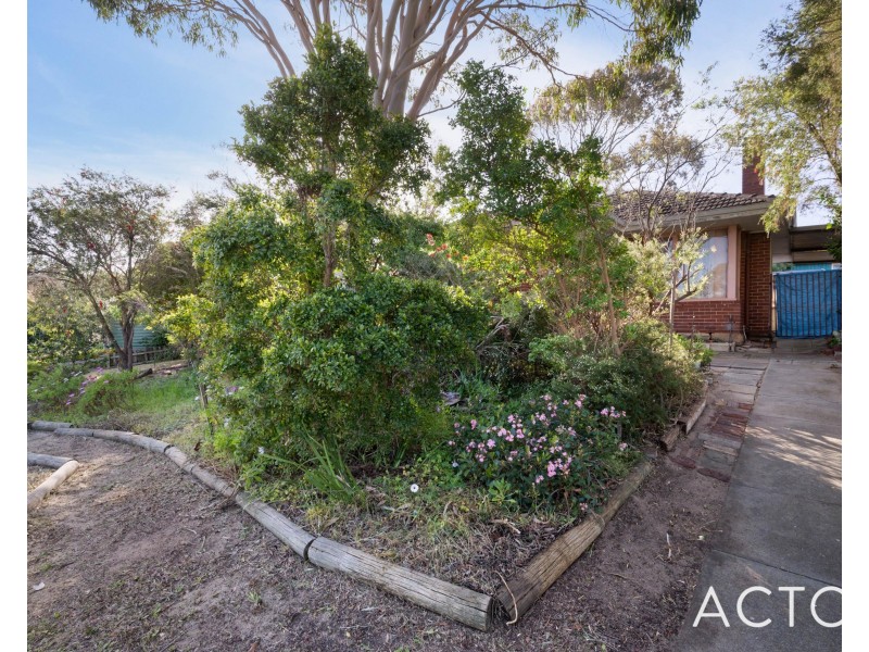 29 Burridge Way, Hamilton Hill WA 6163